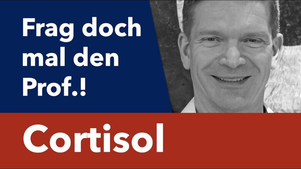 Wie bekomme ich meinen zu hohen Cortisolspiegel in den Griff